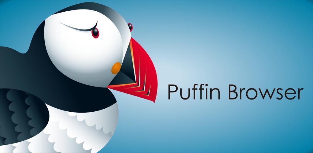 puffin browser for pc windows 7 free download