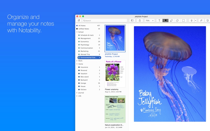 notability for windows 10