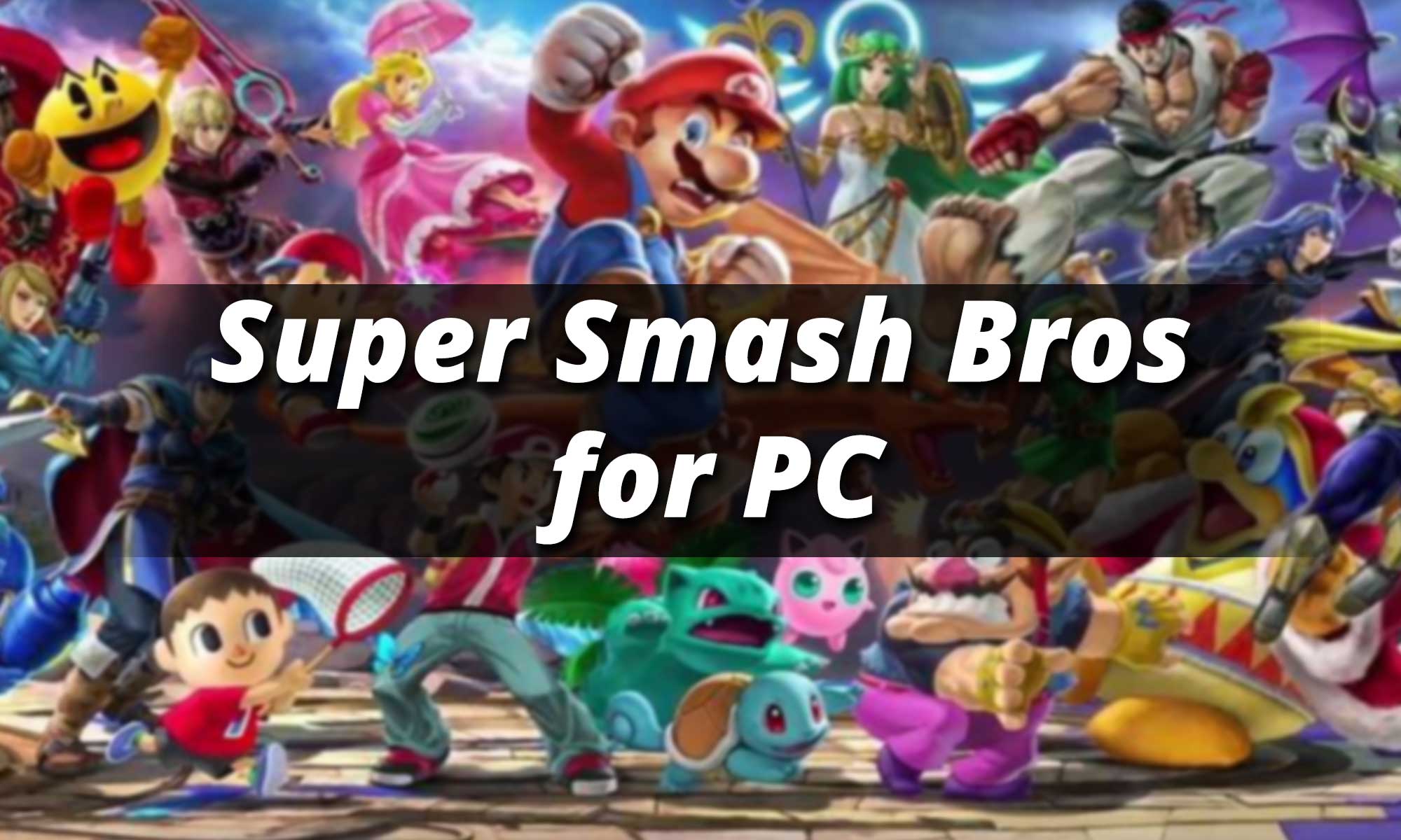 Super Smash Bros For PC