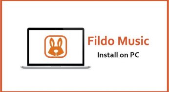 flir cloud download for windows