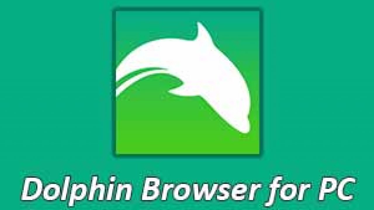 dolphin browser pc download