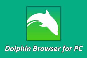 Dolphin Browser For PC