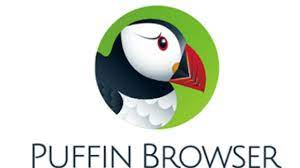 Puffin Web Browser for PC